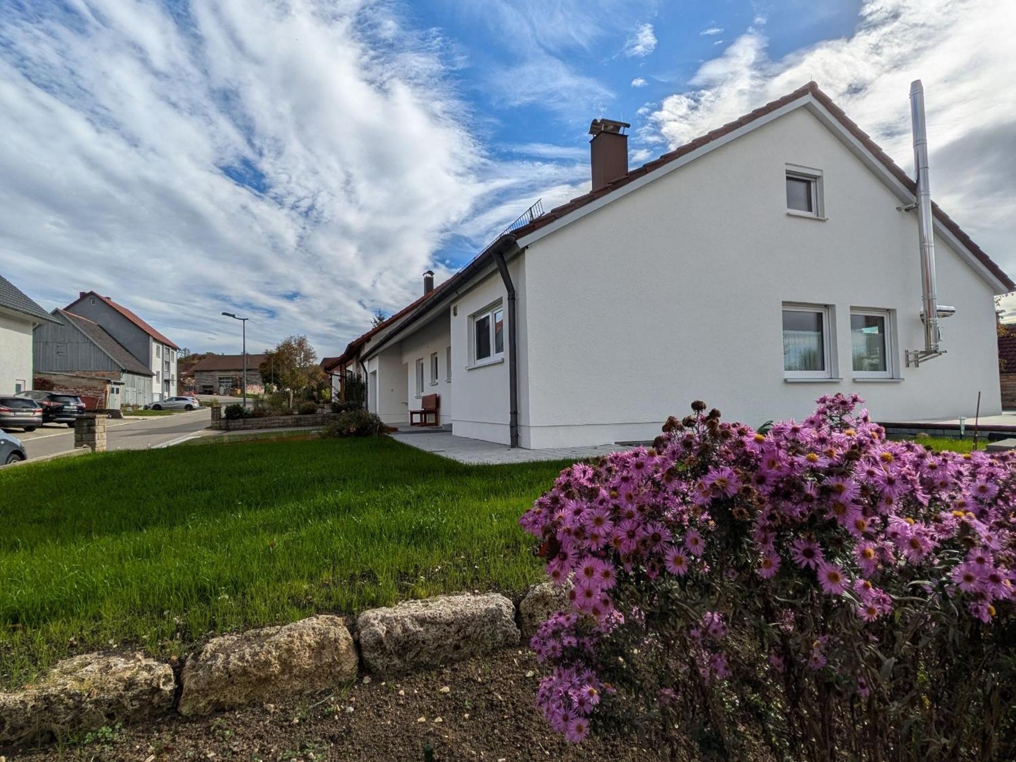 Ferienwohnung Am Alenberg Мюнзінґен Екстер'єр фото